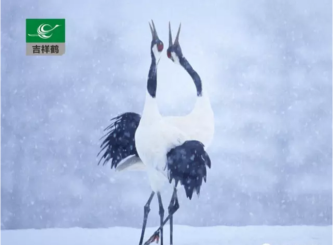 MG動畫淺談聲音的創作